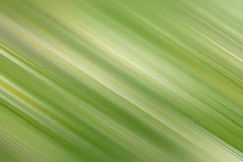 Green abstract background with space for text, texture striped green backgr.. Stock Photos