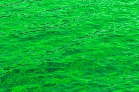 Green abstract background of wavy water Stock Illustration