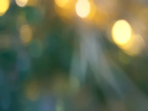 Green Abstract blured light bokeh lights rotation background Stock Footage 111629554