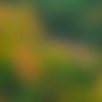 Green abstract blurred background 写真素材