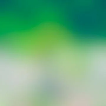 Green abstract blurred background 스톡 사진