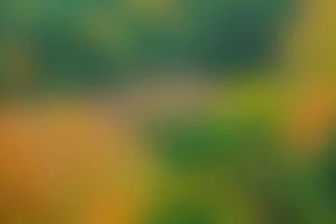 Green abstract blurred background 写真素材