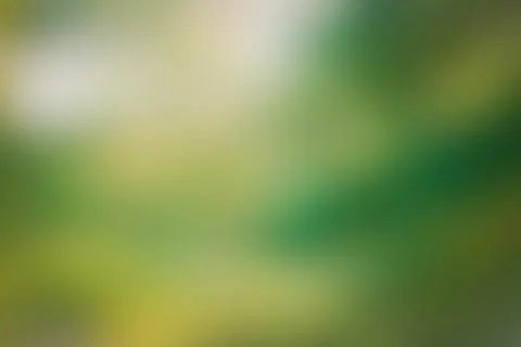 Green abstract blurred background Stockfoto's