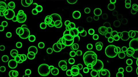 Green abstract circles Stock Footage 301889744