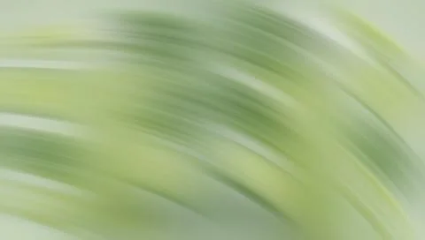 Green abstract curved lines background texture Иллюстрация