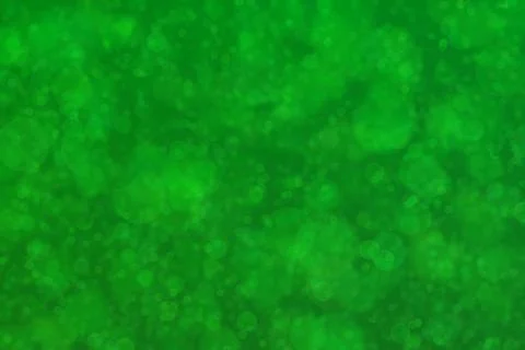 Green abstract defocused background, circle shape bokeh pattern. Stockillustratie