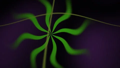Green abstract flower like shape. Stock Footage 340030576