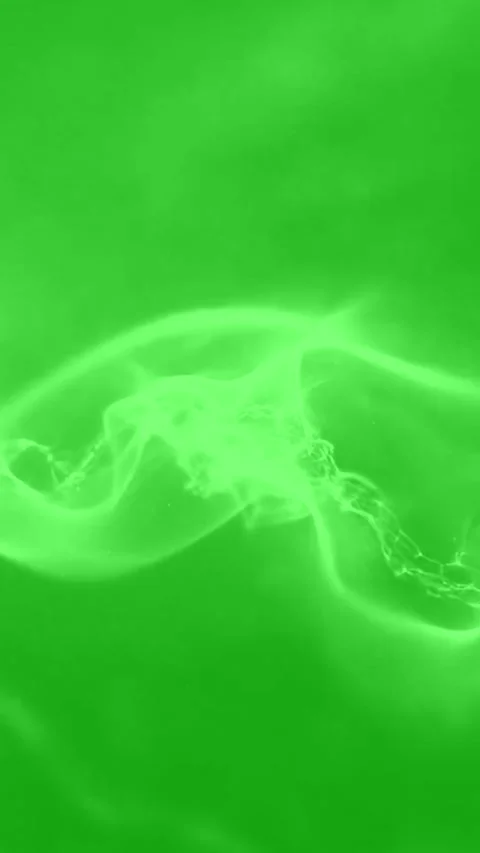 Green abstract fluid motion background with glowing energy waves Stock Footage 331999382