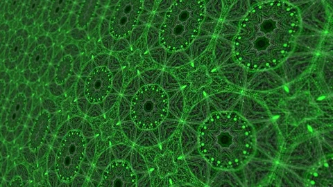 Green abstract kaleidoscope flora pattern background Stock Footage 222699118