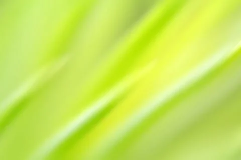 Green abstract light background Stock Illustration
