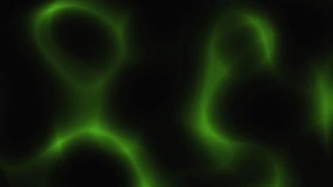 Green abstract lines dancing loop motion background Stock Footage 76756660