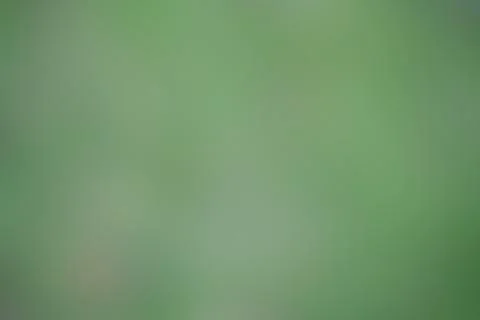 Green abstract low light, background and wallpaper. Stock Illustration