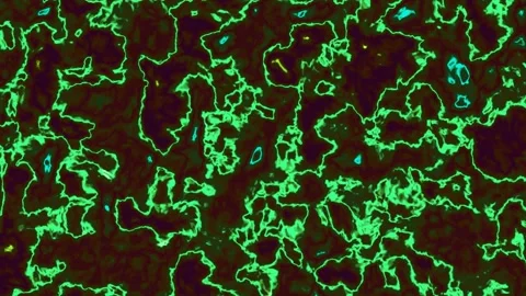 Green abstract pattern with black background highlights Stock Footage 338232891