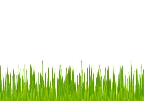 Green abstract pattern composed of colored green grass on white background. C Stock Illustration