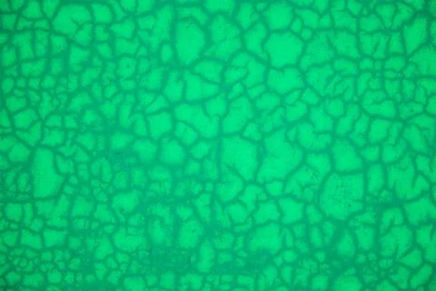 Green abstract pattern texture background with cracks and holes. Close up. Stock-Fotos