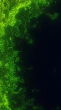 Green abstract plasma texture on a dark background, resembling glowing orga.. イラスト素材