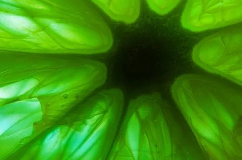 Green abstract shapes Stock Photos