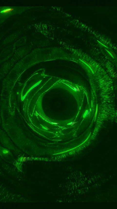 Green abstract Tunnel Vj Loop seamless visual motion background screensaver.. Stock Footage 321564555