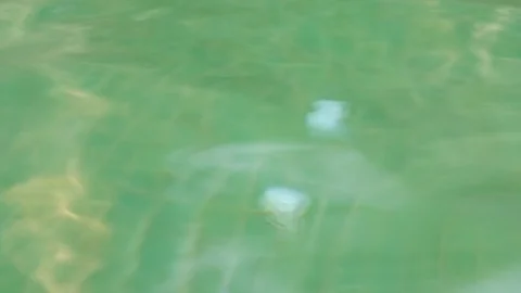 Green abstract water movement in the pool 스톡 동영상 89967754