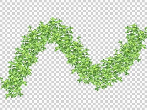 Green abstract wave pattern with dots isolated on transparent background 스톡 일러스트