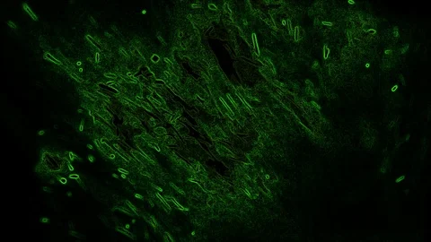Green abstraction on a black background Stock Footage 125698931