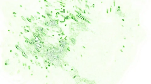 Green abstraction on a white background 库存影片 125698964