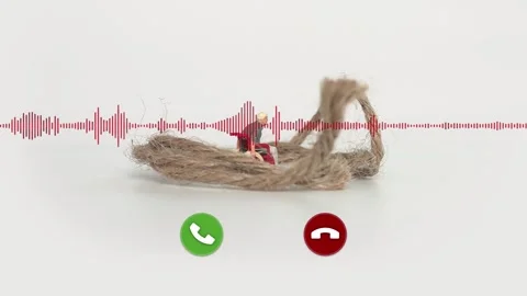 Green accept button and red color call ending button animation with voice spectr Stock Footage 270260335