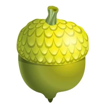 Green acorn isolated on white background close up. Vector Illustration Stock Illustration