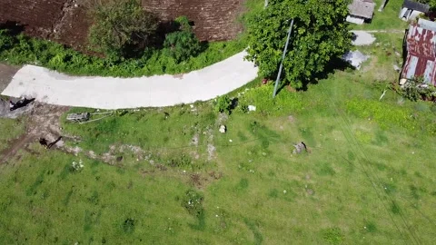 Green Agricultural Field Stock Footage 182912872