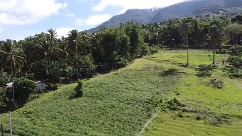 Green Agricultural Field Stock Footage 182912900