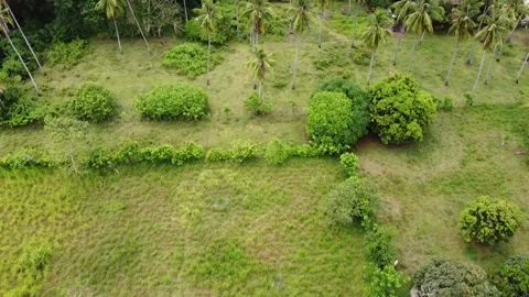 Green Agricultural Field Stock Footage 182913009