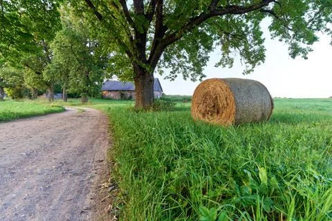 Green agricultural field with haystack Stock Photos