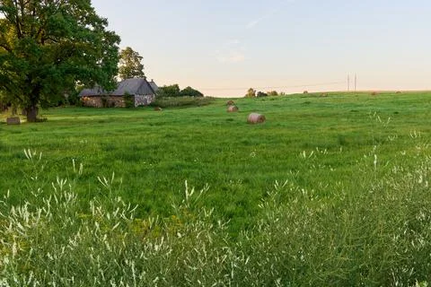 Green agricultural field with haystack Stock Photos