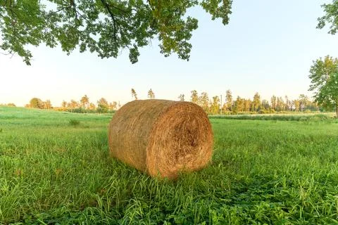 Green agricultural field with haystack Stock Photos