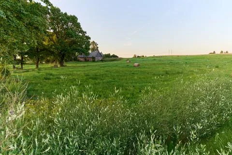 Green agricultural field with haystack Stock Photos
