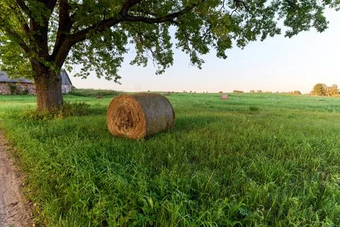 Green agricultural field with haystack Stock Photos
