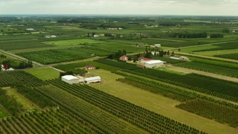Green agricultural fields and fruit orchards stretch across the countryside. Stock Footage 339075699