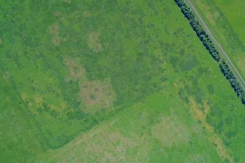 Green agricultural fields with diverse grass textures and rural country road Stock Photos