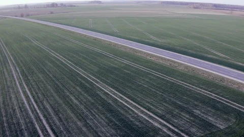 Green agricultural landscape in spring. Stock Footage 106931424
