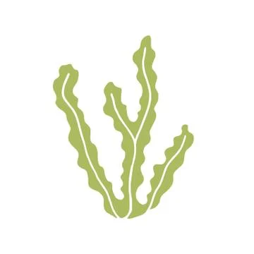 Green alga vector icon Stock Illustration