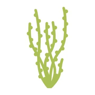 Green algae bush. isolated vector 스톡 일러스트