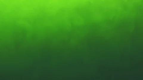 Green algae circulating as background texture Stock Footage 113687379