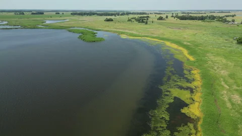 Green algae colonizing lake edge, indicating ecosystem disruption amid rural Stock Footage 316229349