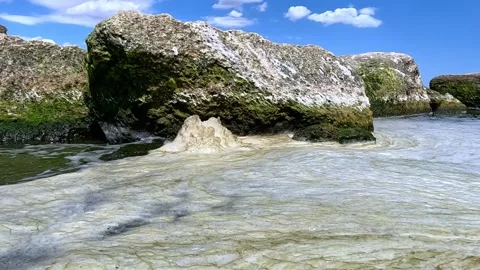 Green Algae Covered Coastal Boulders with Sea Foam During Summer Algal Bloom. Stock Footage 340129070