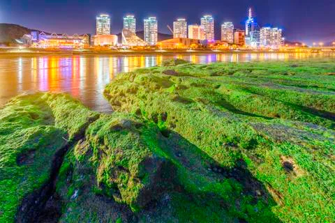 Green algae riverside town. 스톡 사진