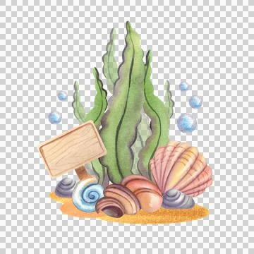Green algae with seashells, isolated. Hand-drawn watercolor illustration 库存插图