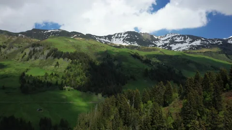 The green alpine countryside Stock Footage 164238662
