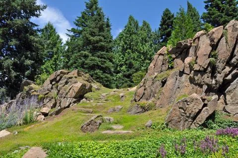 Green alpine meadow Stock Photos