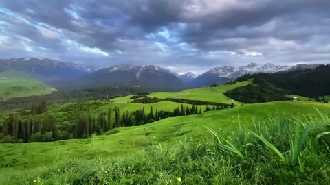 Green Alpine Meadow with Snow-Capped Mountains and Dramatic Clouds in China 動画素材 335984611