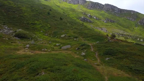 Green alpine slopes crossed by a thin trail Stock Footage 322799278